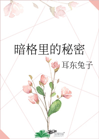 暗格里的秘密小说封面