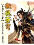 傲视苍穹小说封面