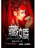 藏婚小说封面
