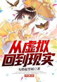 从虚拟回到现实小说封面