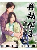 丹劫公子小说封面
