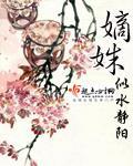 嫡术小说封面