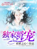 独家婚宠小说封面