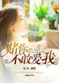 赌你不敢爱我小说封面