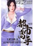 都市高手小说封面