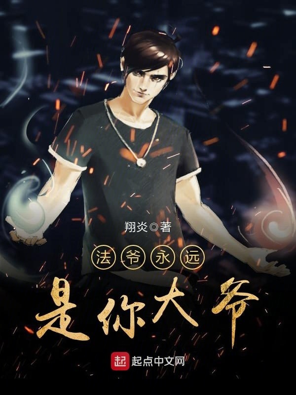 法爷永远是你大爷小说封面