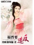 福晋要造反小说封面