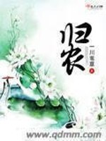 归农小说封面