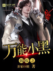 韩娱之万能小黑小说封面