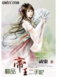极品帝王二手妃小说封面