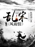 乱宋风雨情小说封面