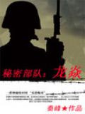 秘密部队:龙焱小说封面