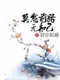 莫愁前路无知己小说封面