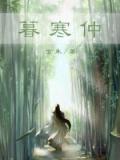 暮寒仲小说封面