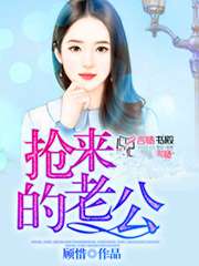 抢来的老公小说封面