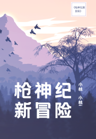 枪神纪新冒险小说封面
