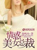 情惑美女总裁小说封面