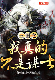 三国之我真的不是谋士小说封面