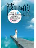 神秘枕边人小说封面