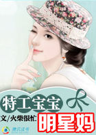 特工宝宝明星妈小说封面