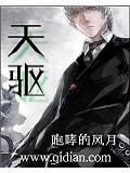 天驱小说封面