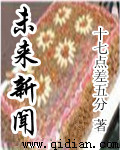 未来新闻小说封面