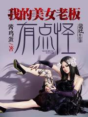 我的美女老板有点怪小说封面