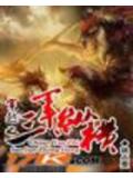 无敌之三军纵横小说封面
