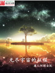 无尽宇宙的征程小说封面