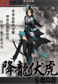 降龙伏虎小说封面
