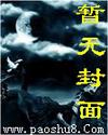 邪盗小说封面
