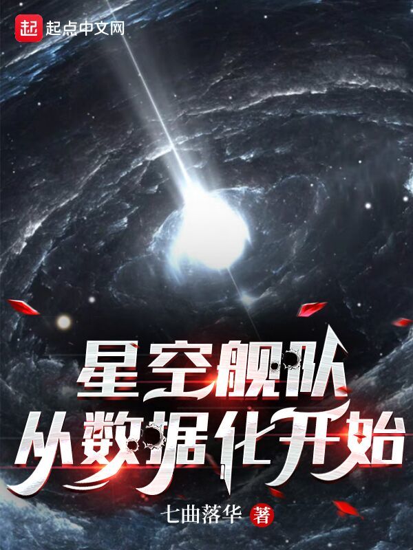 星空舰队，从数据化开始小说封面