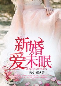 新婚爱未眠小说封面