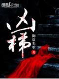 凶梯小说封面