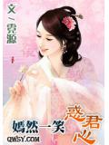 嫣然一笑惑君心小说封面