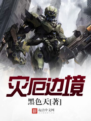 灾厄边境小说封面