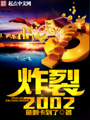 炸裂2002小说封面
