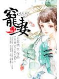 重生之宠妻小说封面