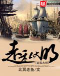 走私大明小说封面